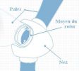 Le rotor